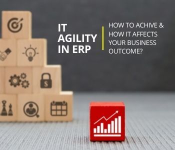 What is Agility in ERP Software? ERP Software